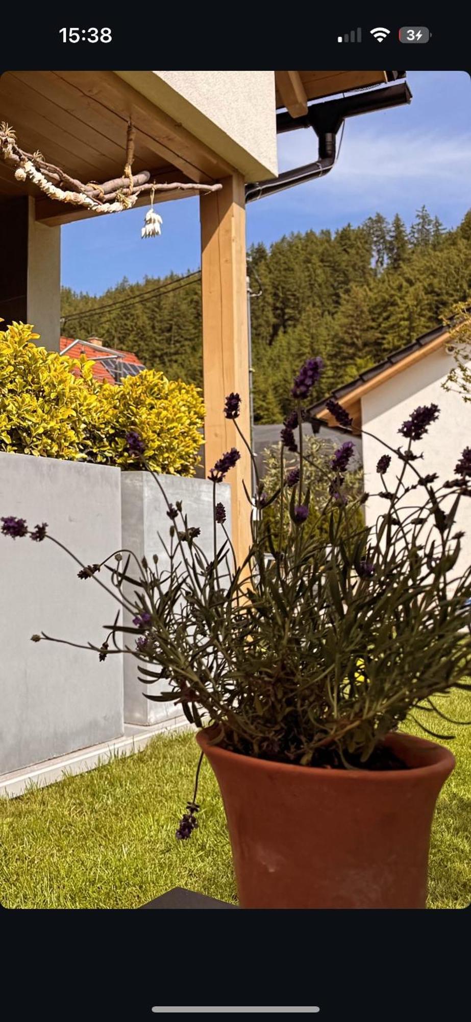 Apartmany Pod Pustevnami Prostredni Becva Exterior photo